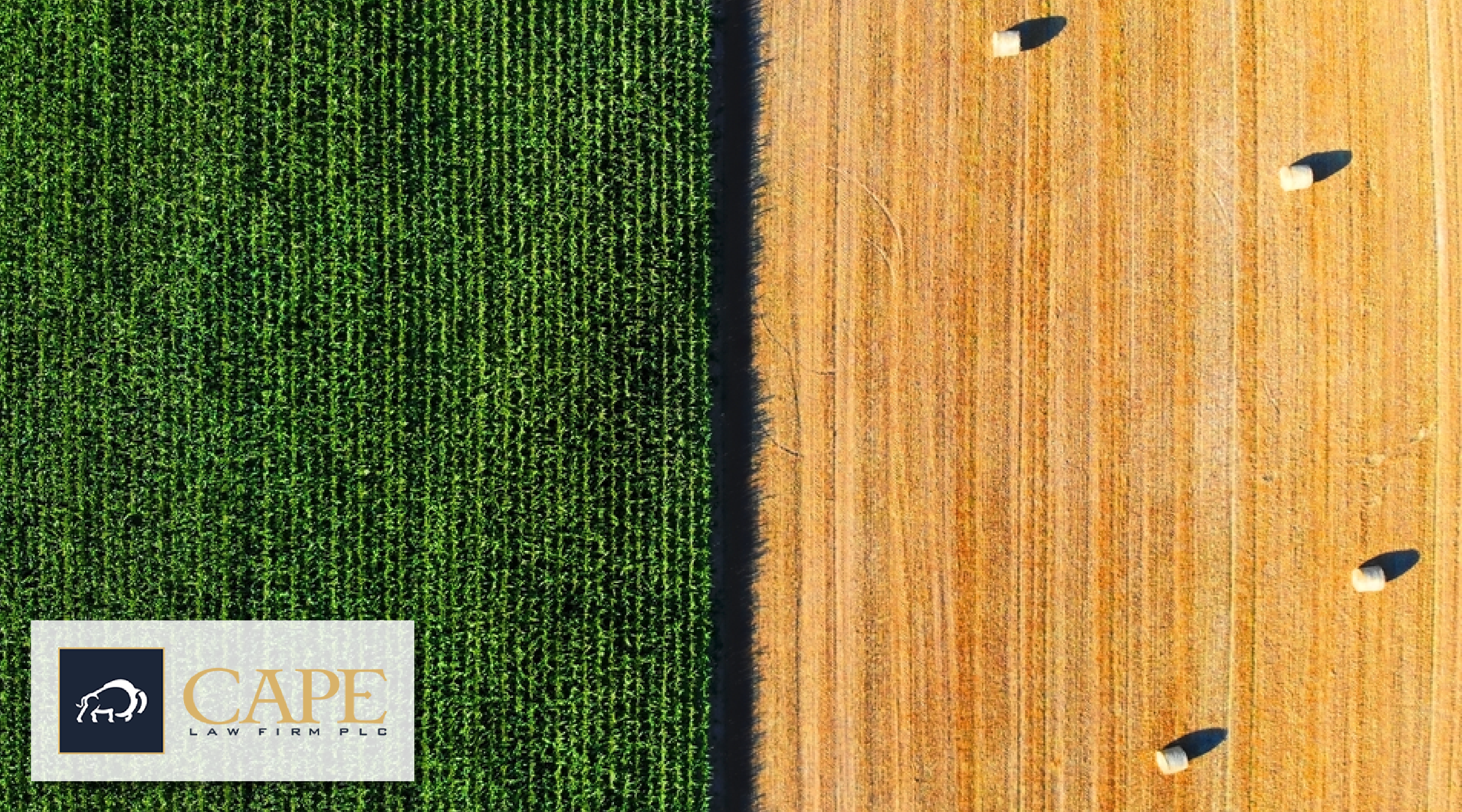 Corn Corps Yielding News
