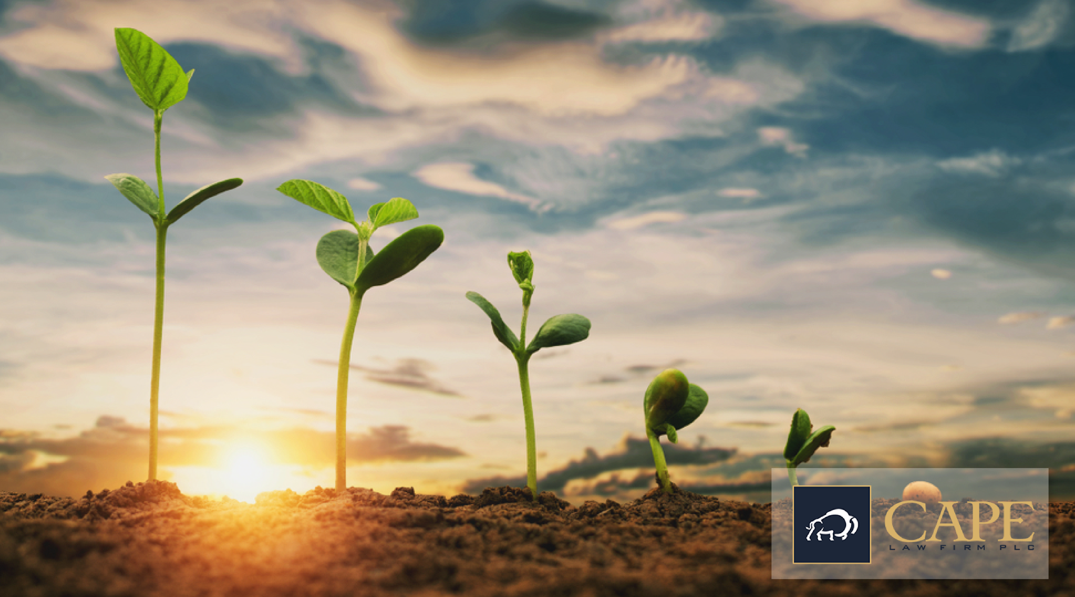 Seed Traits and Other Legal News
