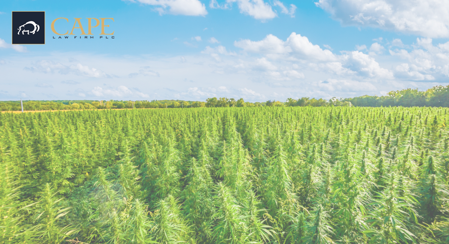 Hemp News