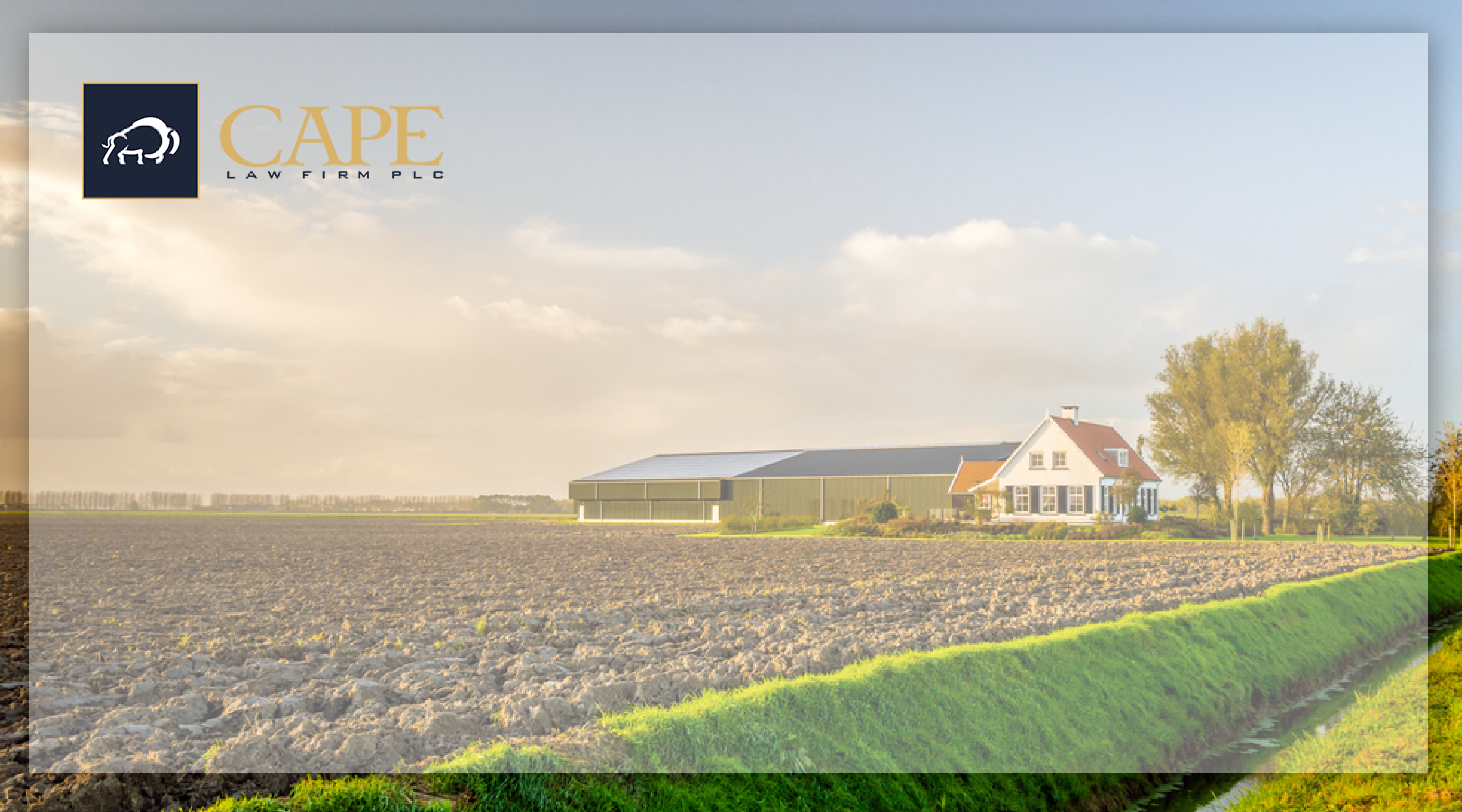 Treated Seed | Cape Law FirmFirm