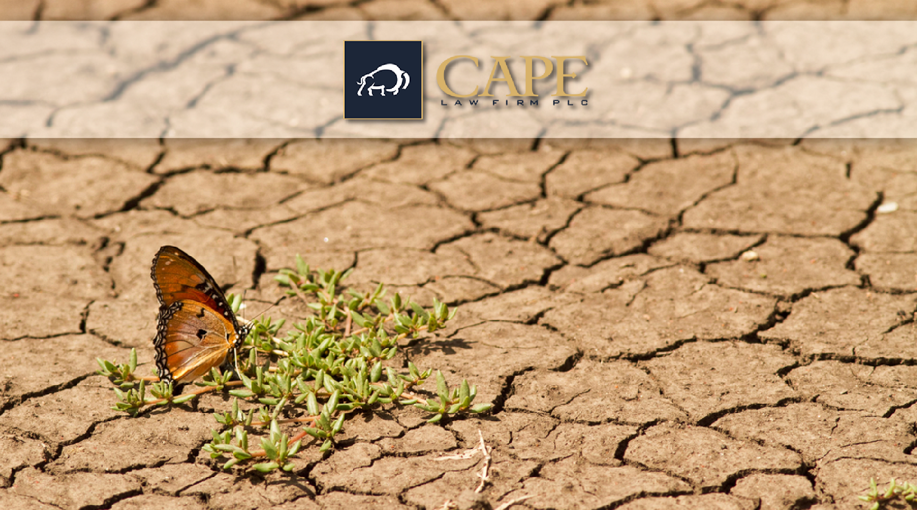 Climate Change | Legal News