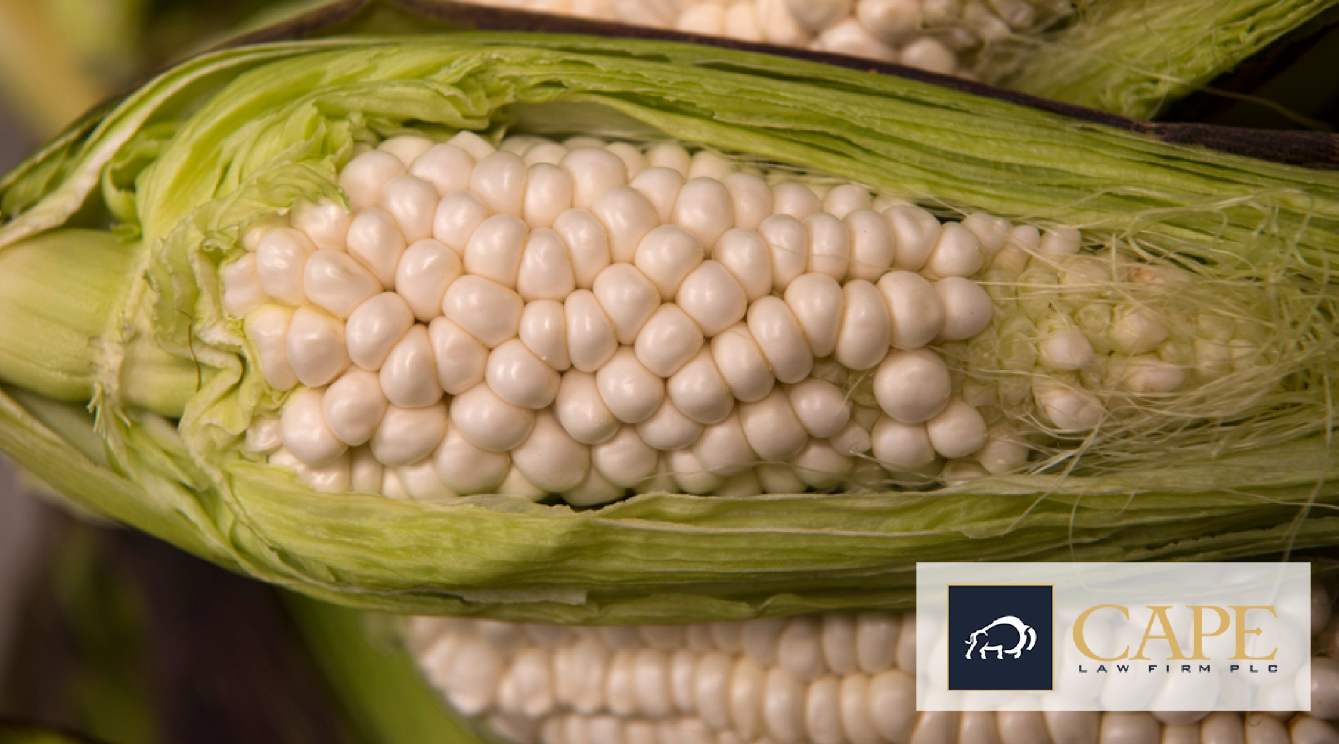 Craft Distillers Reviving Heirloom Corn