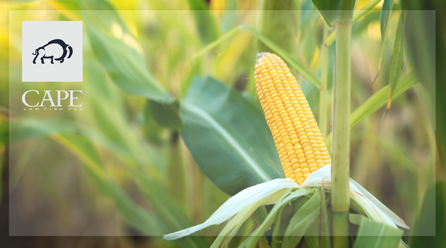 Closing Farms and More Legal News