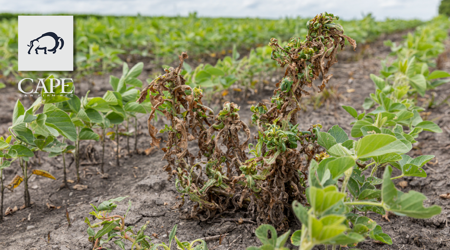 Natural State Coalition, Farm Bill Challenges, and More News