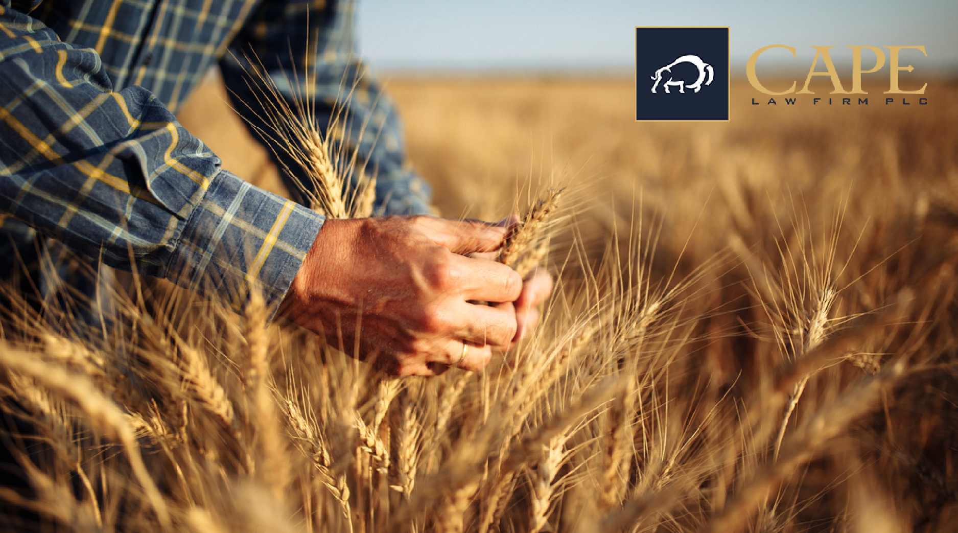 Agricultural Crop Licensing Platform
