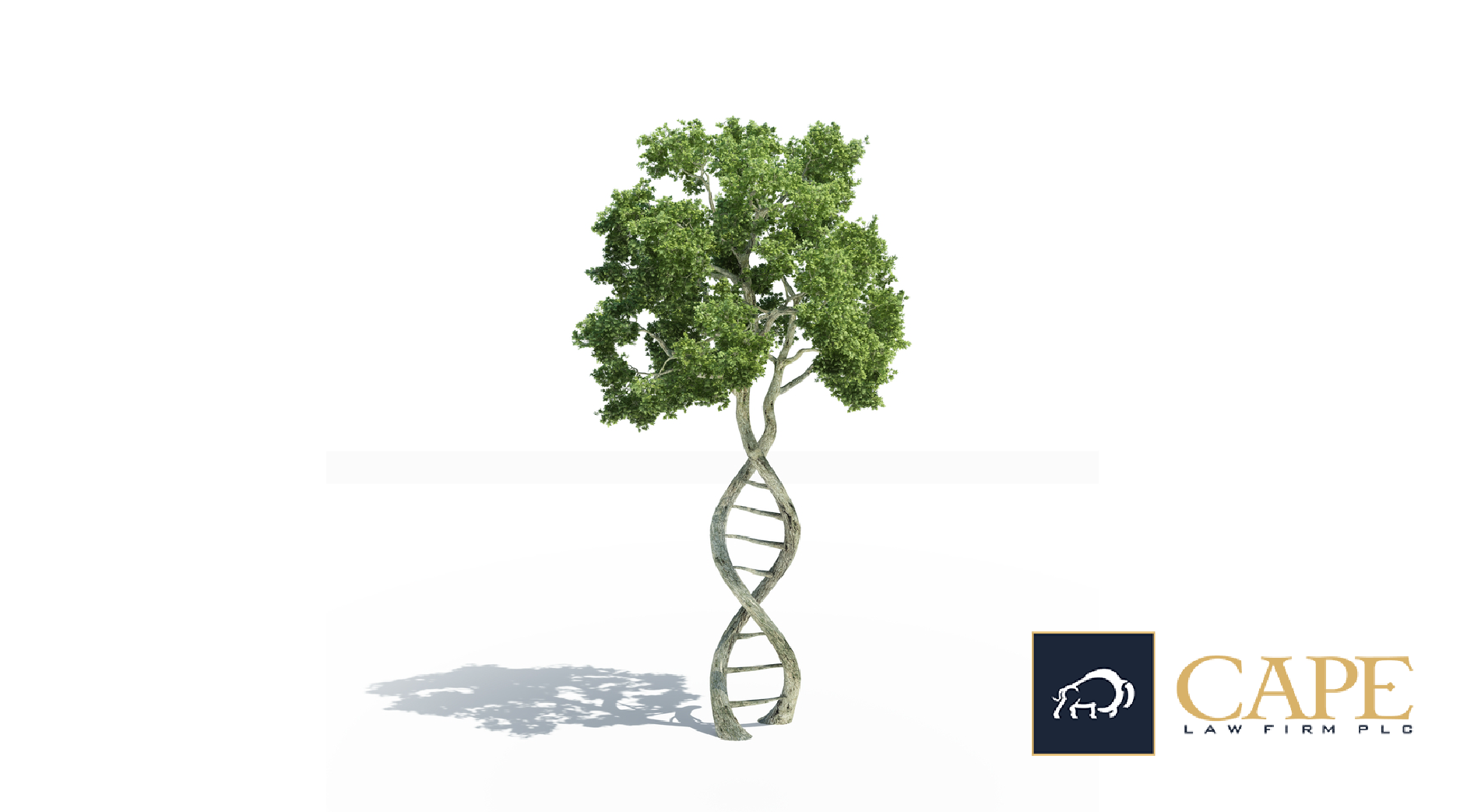 A GMO Carbon Storage Solution, Eggflation and More