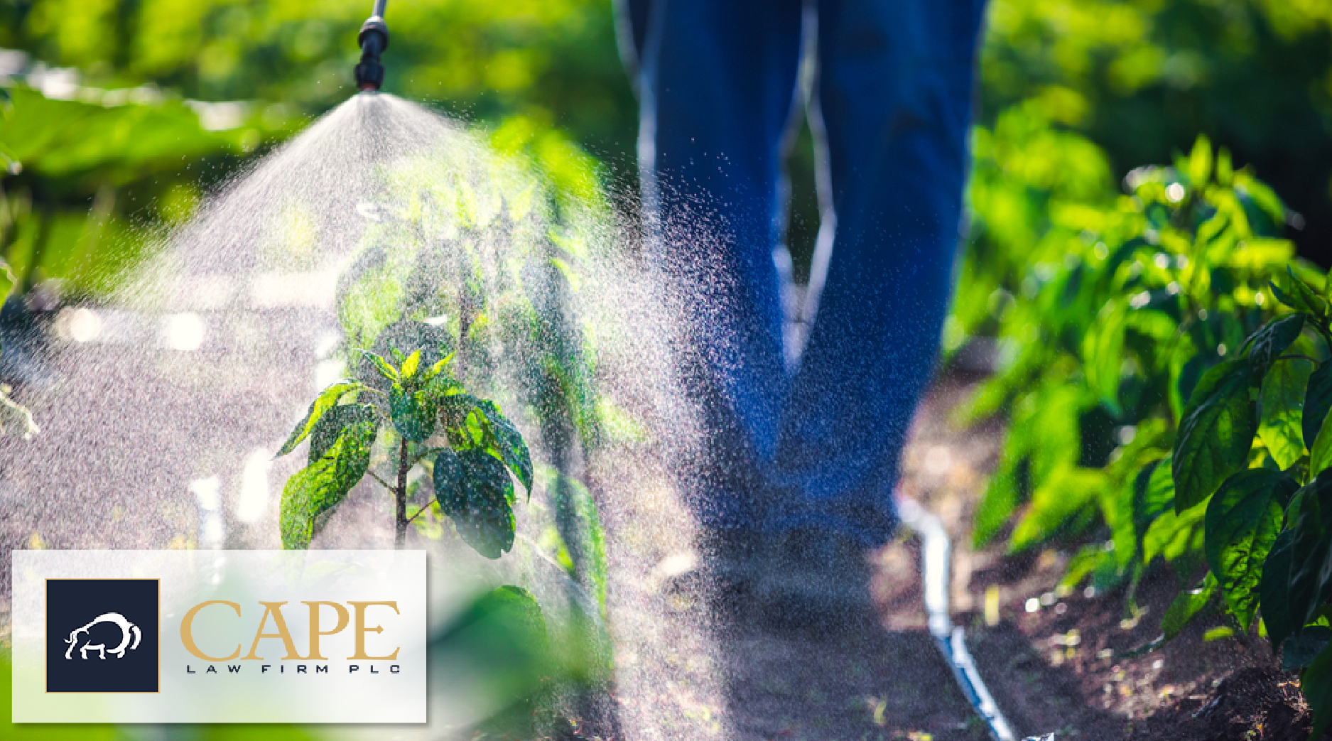 Pesticides | Cape Law Firm