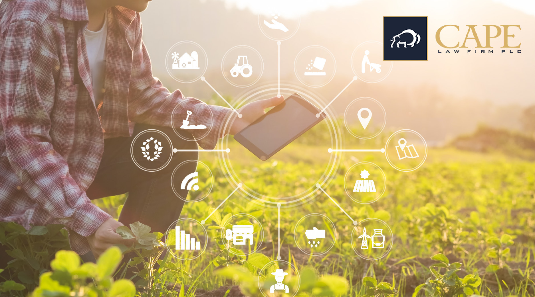 A Court Defines Butter, Farming From Space | Cape Law Firm