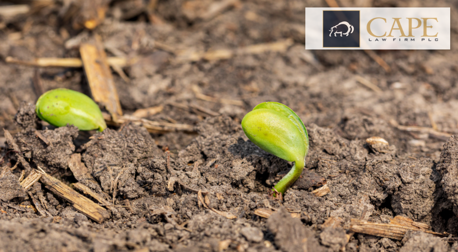 Treated Seed Under Fire (Again), New Dicamba Resistance