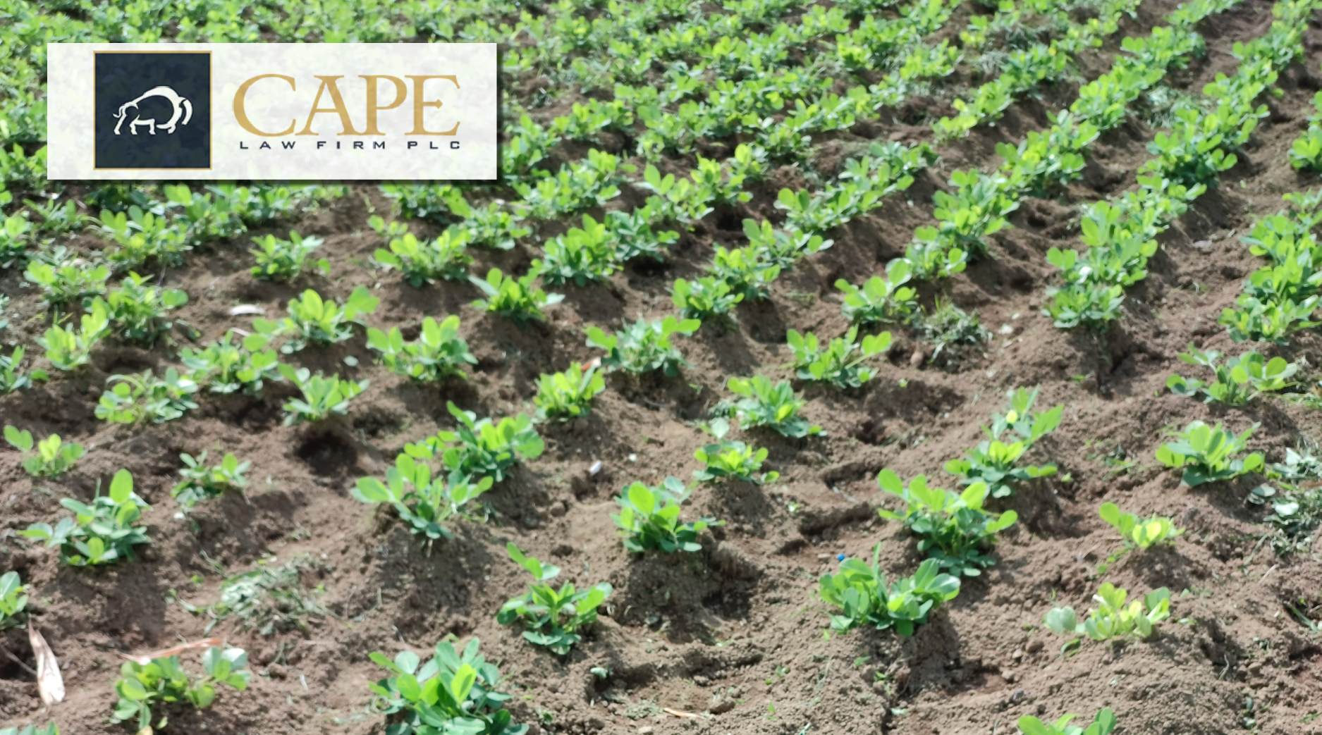 Pesticide Immunity | Legal News