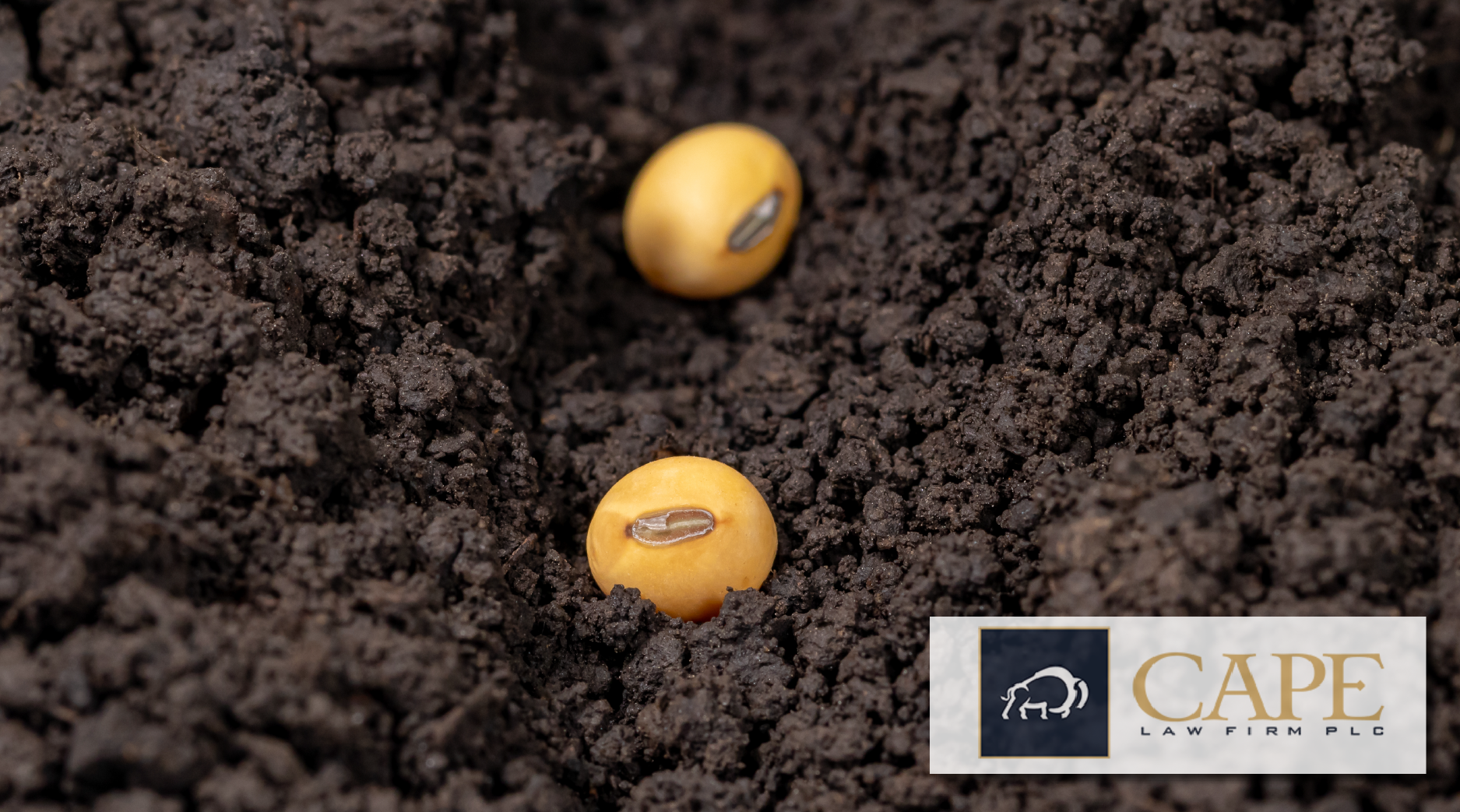 China to Shore Up Seed Supplies, Contracting With Emojis & More