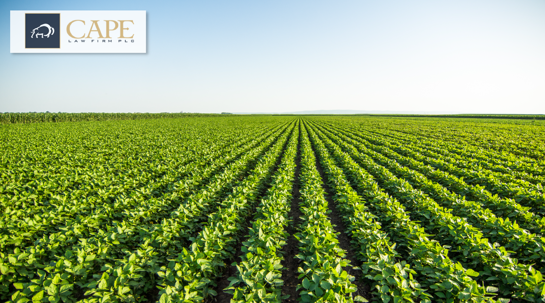 USDA Gains Partners for Ag Competition, Old Viroid Gets New Host and More