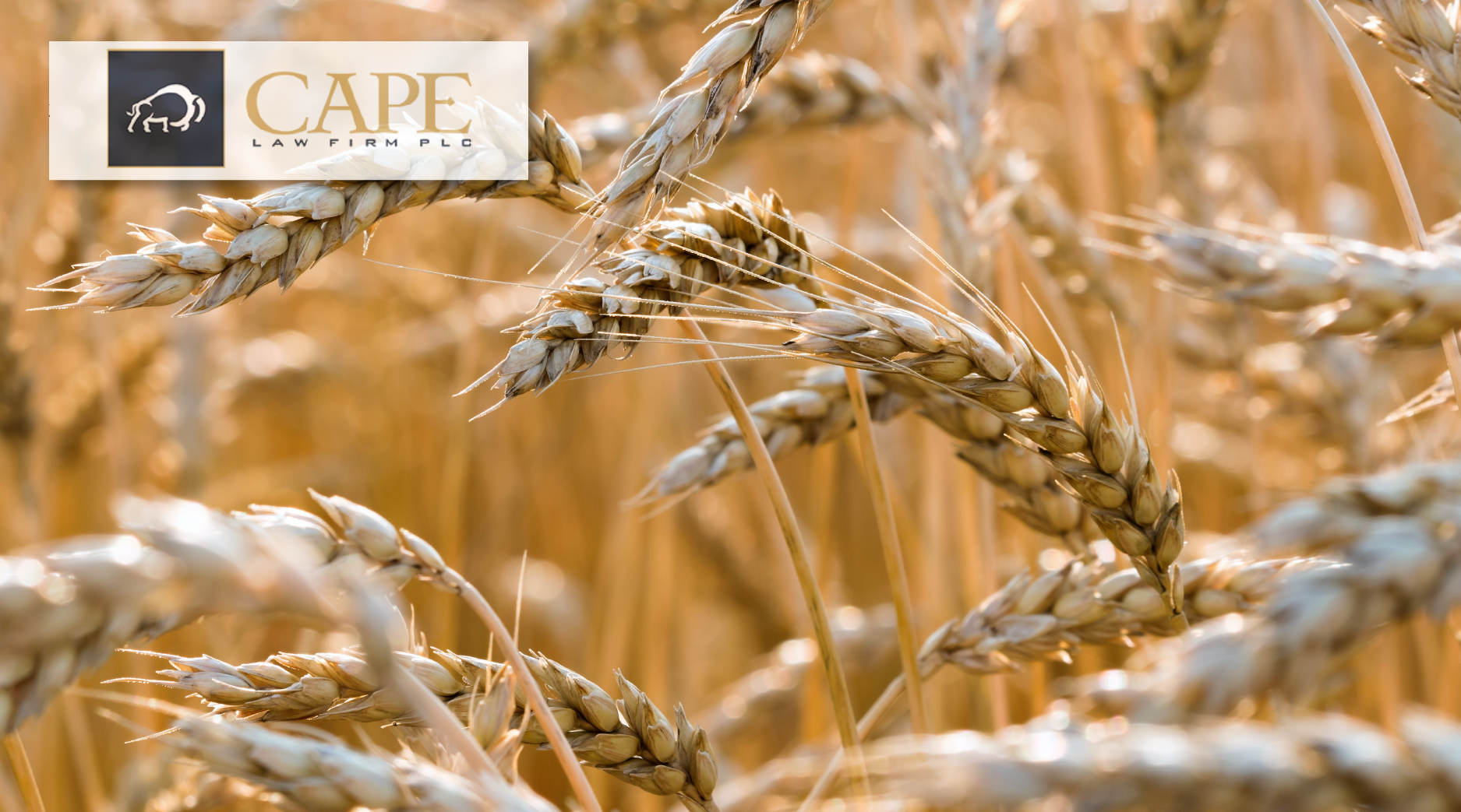 Ag Subsidies Under Scrutiny, Texas Business Courts & Legal News