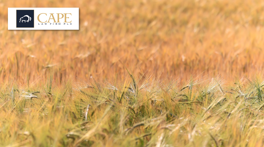Seed Wars | Cape Law Firm