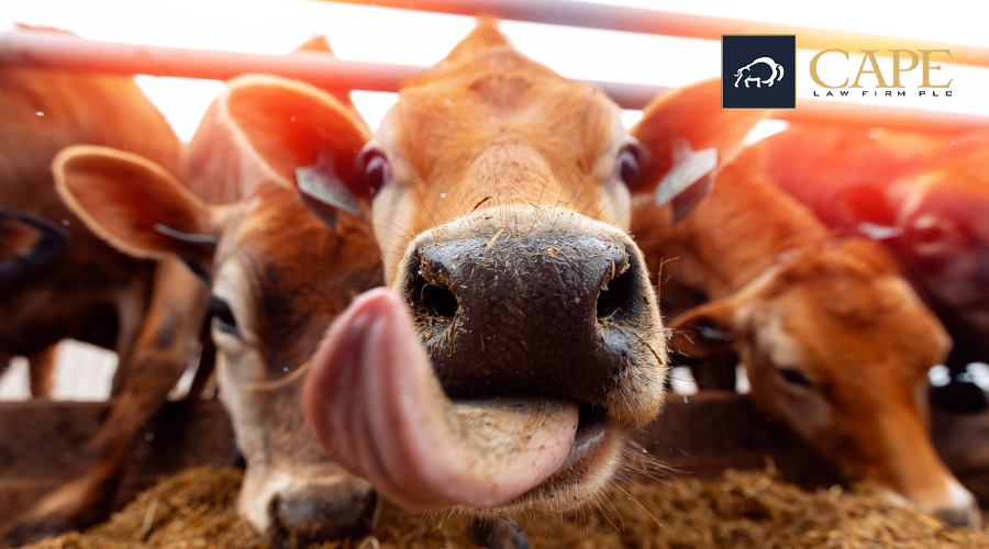 Beware the Livestock Show Rules, EPA to Examine Treated Seed