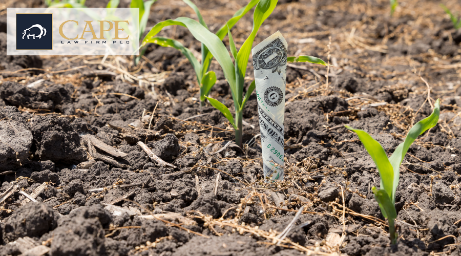 Farm Bill Fever, and Other Legal News | Cape Law Firm